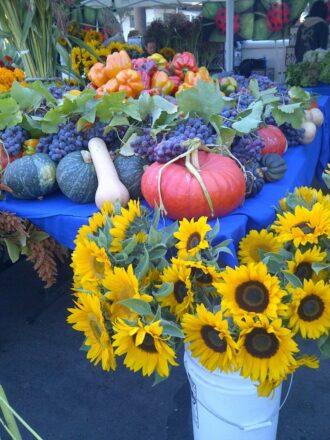 SB Farmer's Market