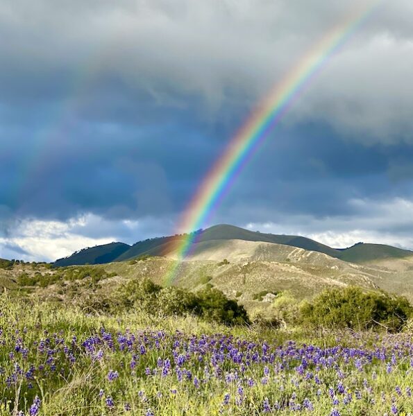 Rainbow over Rancho La Zaca IMG_2665