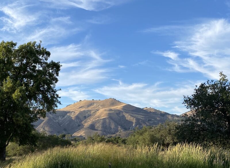 Rancho La Zaca