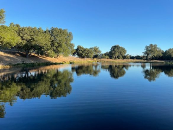 Pond at Rancho La Zaca