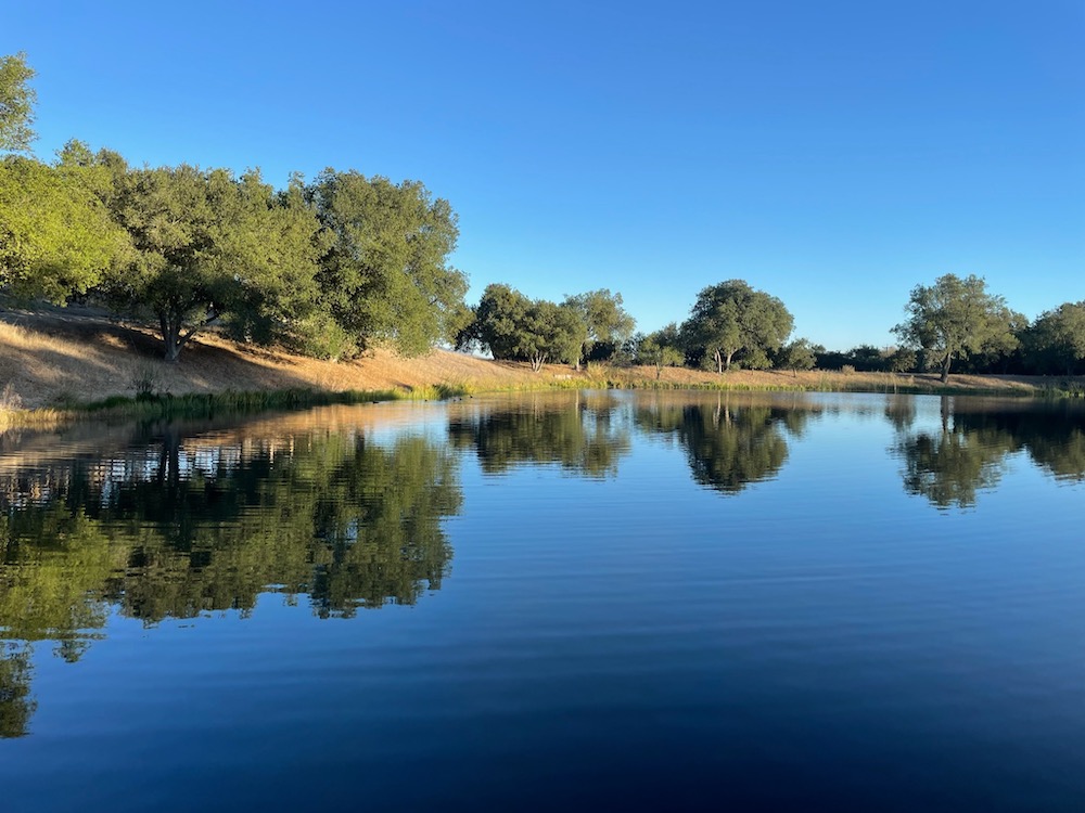 More on…Art of the Soul Retreat at Rancho La Zaca,March 2022 Frances