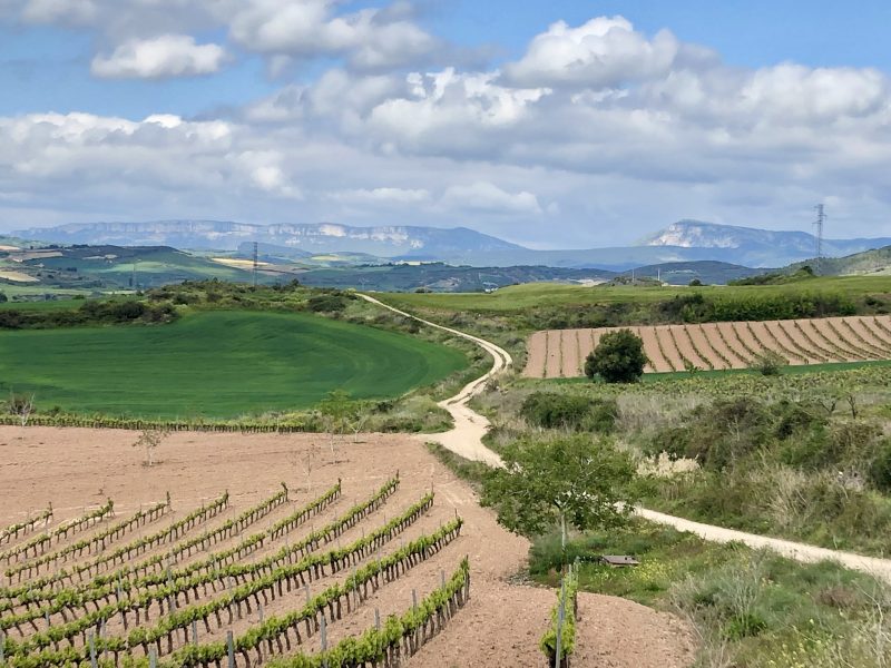 The spectacular scenery of the Camino de Santiago, Frances Schultz