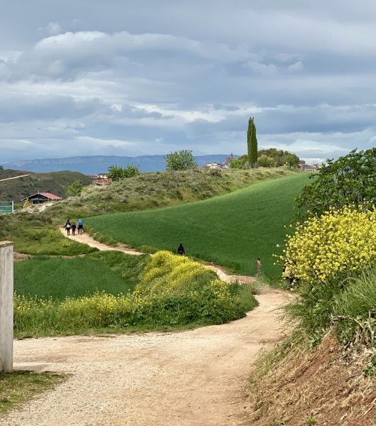 Camino De Santiago, Frances Schulz