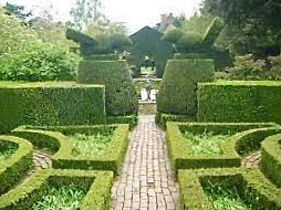 The topiary birds at Hidcote before their serious haircut in 2021. Photo Carex tours via Judith Sharpe Gardens, via Pinterest.