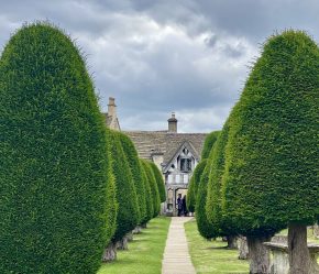 Yew topiaries in Painswick, Gloucestershire, Cotswolds