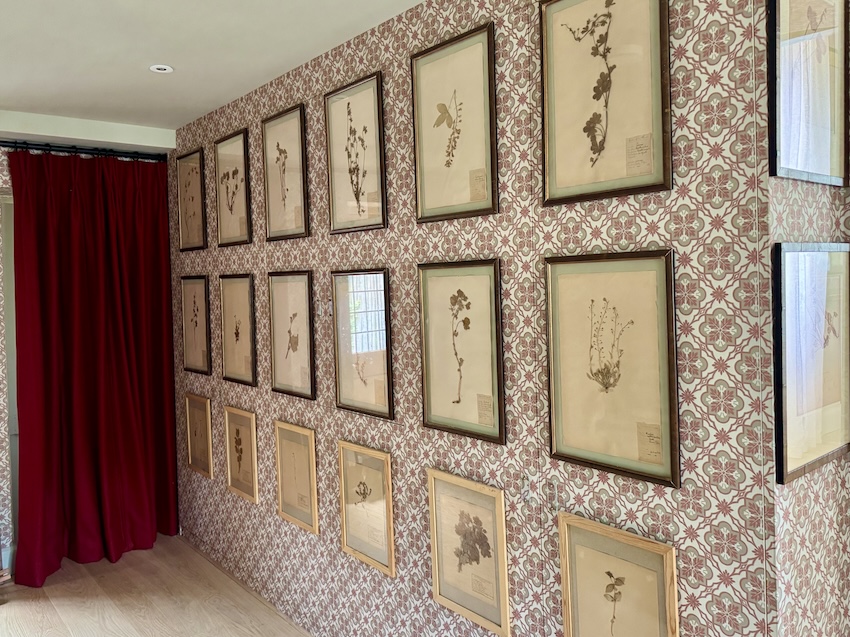 Also in the "dining hall" or "garden room" or whatever the heck I end up calling it (What do you think?), I hung botanicals along a wall of cupboards. The cupboards were already there. I'm grateful for the storage but the room is awfully narrow for a dining room...at Lovedays House