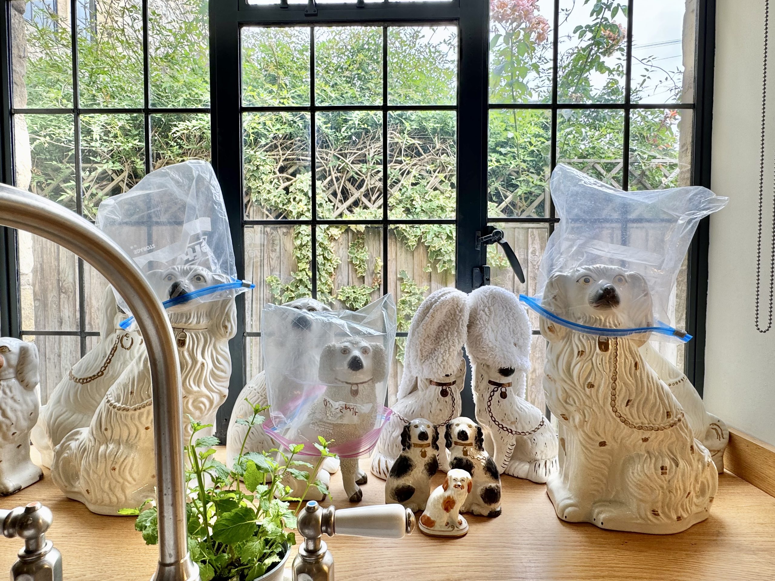 Staffordshire dogs make brilliant drying racks in my kitchen window. Lovedays House